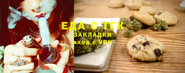 индика Инта