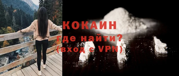 индика Инта