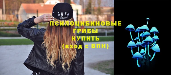 МДМА Инсар