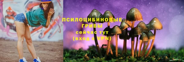 МДМА Инсар