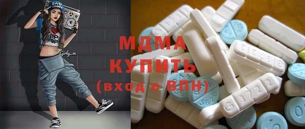 индика Инта