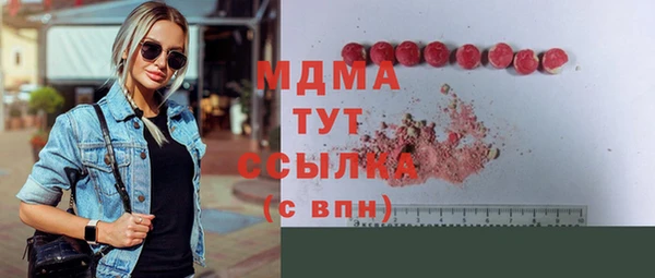 индика Инта