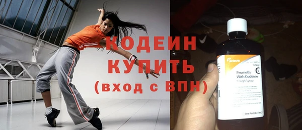 индика Инта