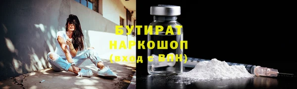 индика Инта