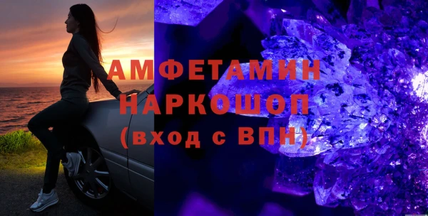 индика Инта