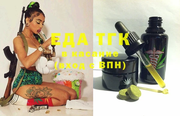 индика Инта