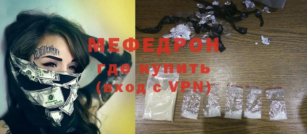 индика Инта