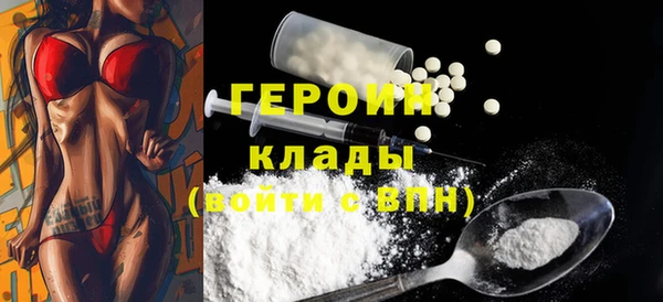 индика Инта