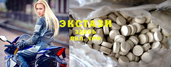 индика Инта