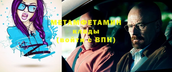 индика Инта