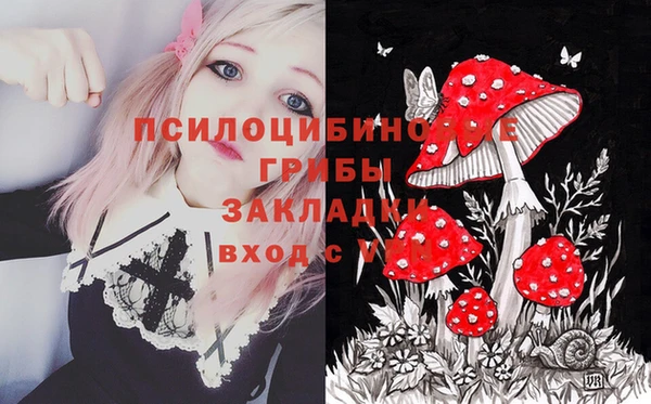 МДМА Инсар