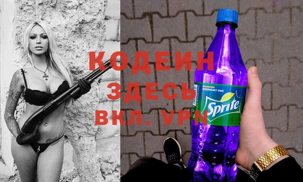 индика Инта