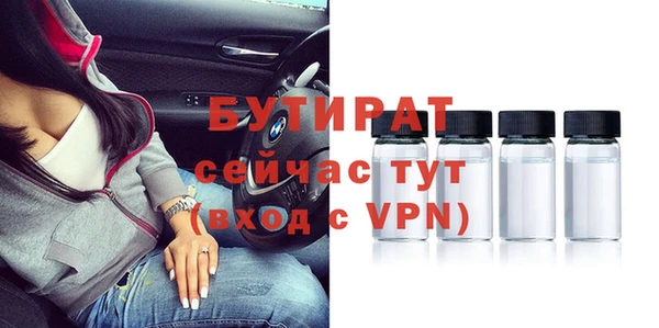 индика Инта